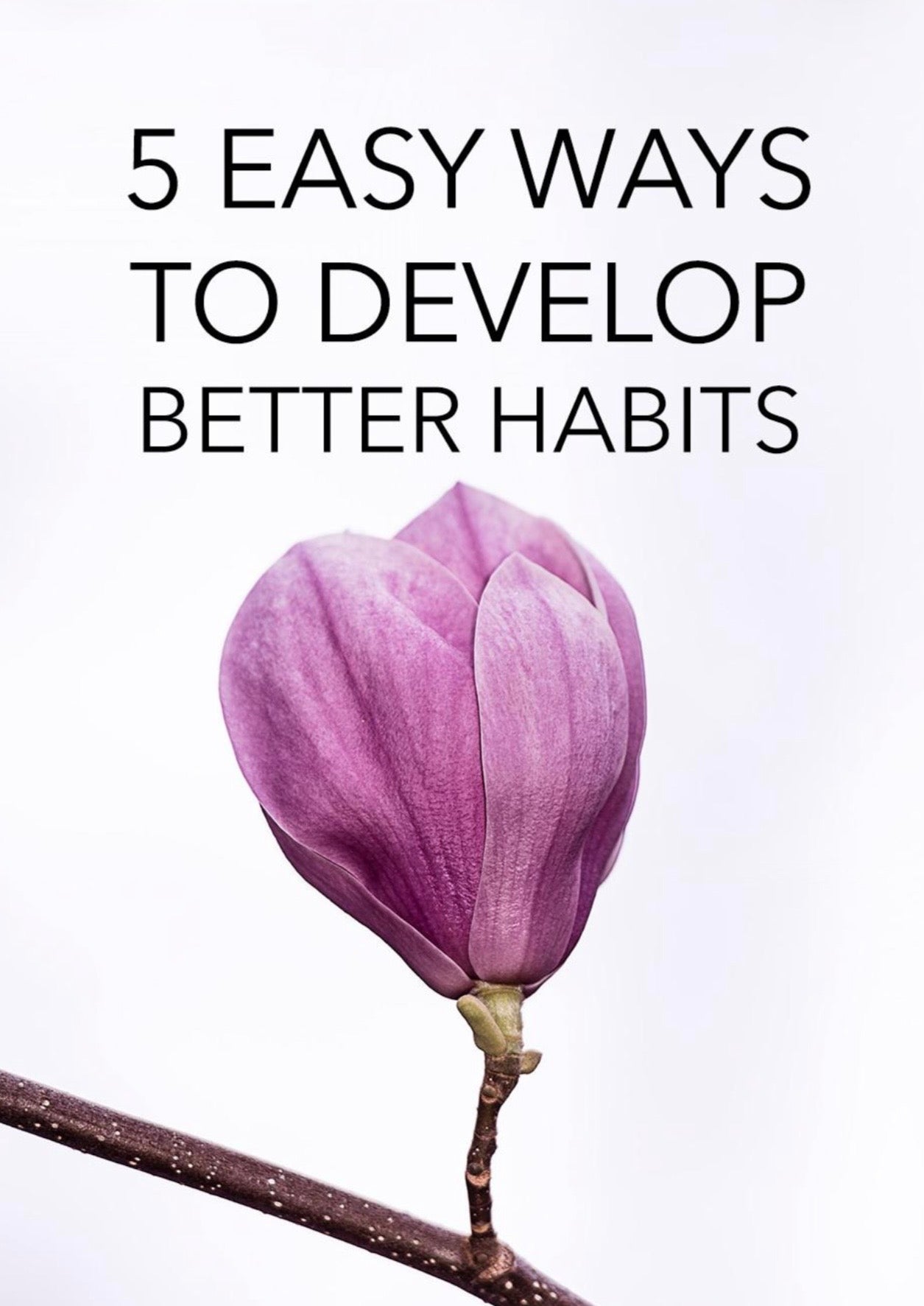 5 Easy Ways To Develop Better Habits